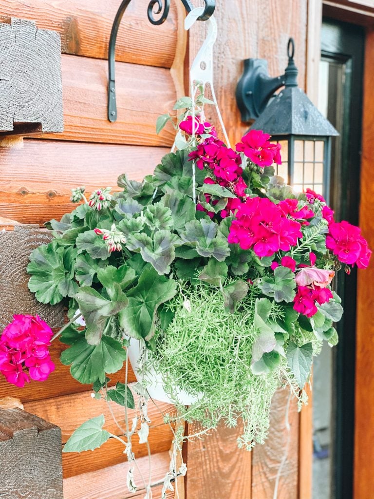 hanging flower basket |  Summer Front Porch by popular Pittsburg life and style blog, Fashionably Late Mom: image of a white hanging flower basket with pink flowers. 